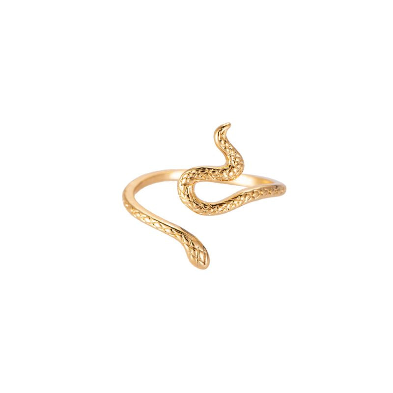 Mydefny Edelstahl Ring Snake Gold/Silber