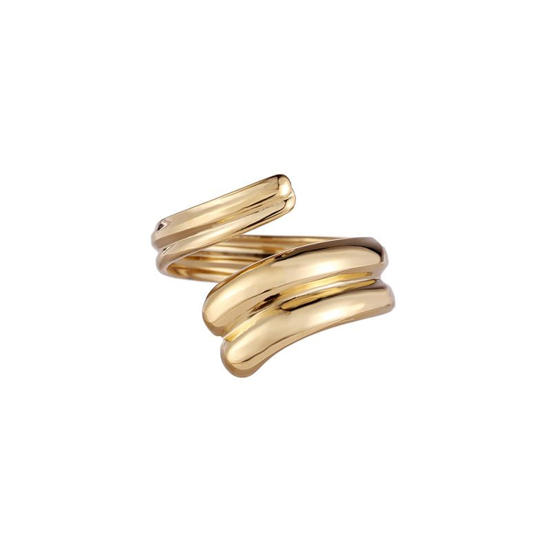 Mydefny Edelstahl Ring Double Twist Spiral Silber/Gold